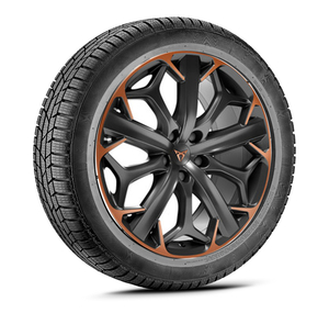CUPRA Formentor Winterkomplettrad 19 Zoll W473