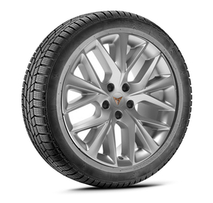 CUPRA Formentor Winterkomplettrad 18 Zoll W472
