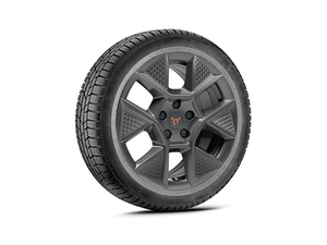 CUPRA Raval Ruota completa invernale 17 pollici W465